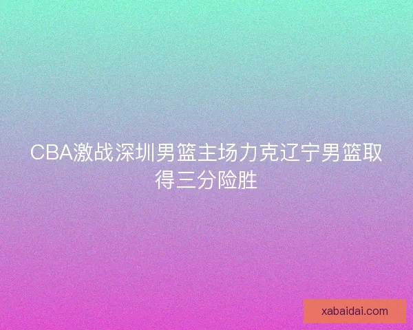 CBA激战深圳男篮主场力克辽宁男篮取得三分险胜