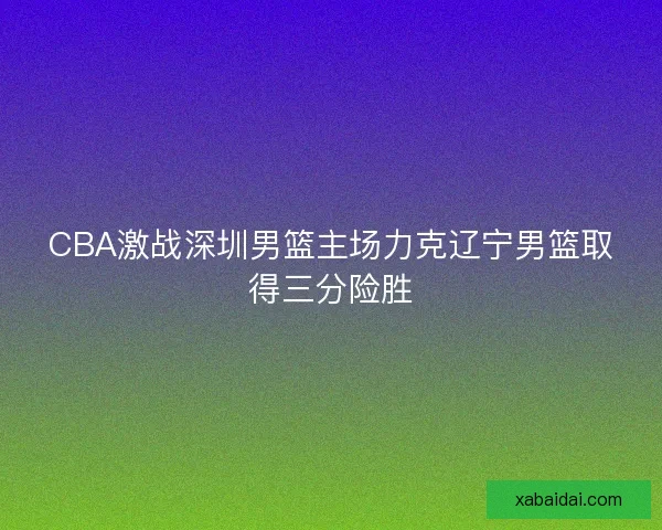 CBA激战深圳男篮主场力克辽宁男篮取得三分险胜